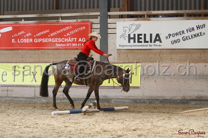 26-ApHC GT_153.jpg